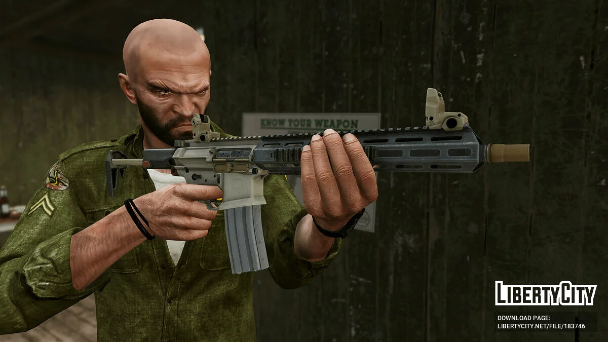 [INS2] Q Honey Badger 1.0 / GTA 5