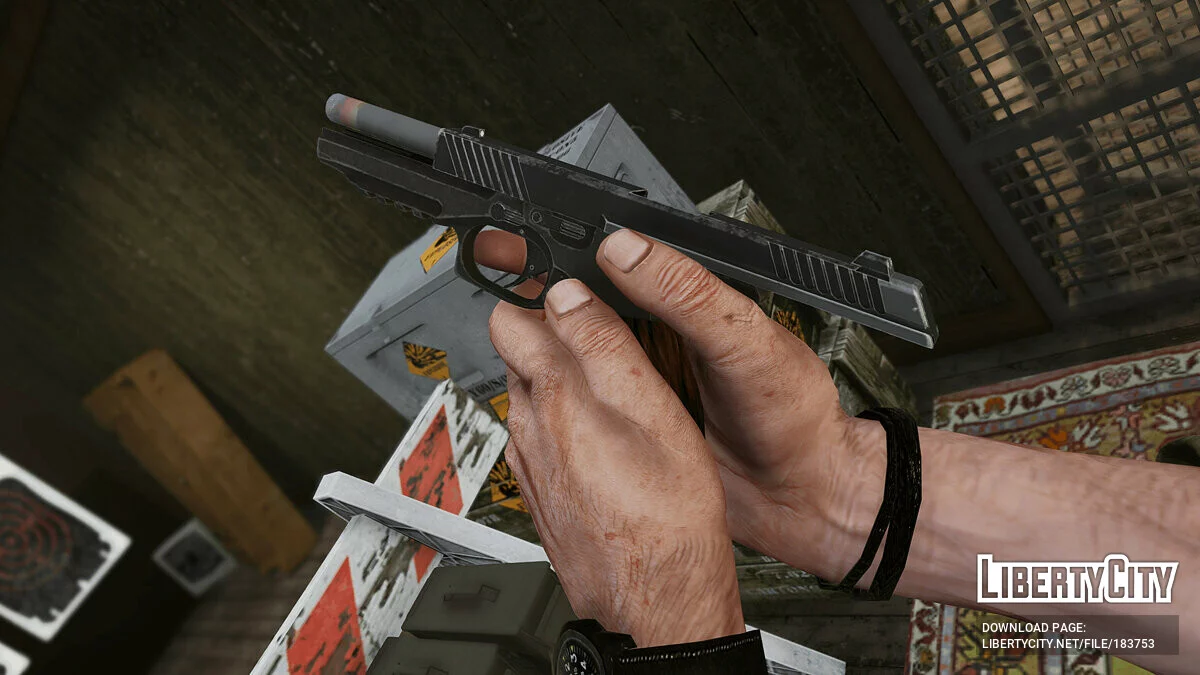 Kalashnikov Concern PL-14 [Animated] 1.0 / GTA 5