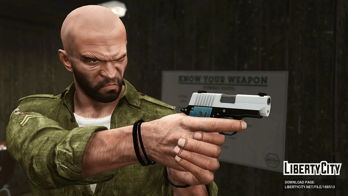 SIG Sauer P238 / GTA 5