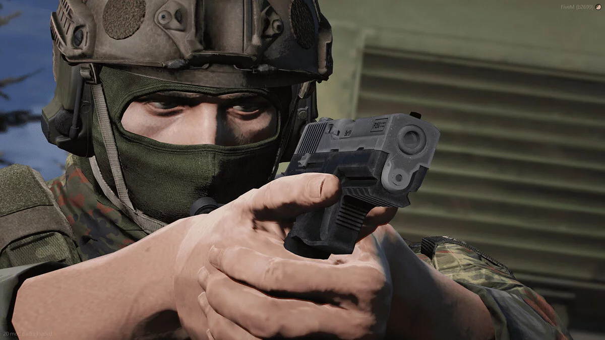 [RoN] SIG Sauer P250 Compact (FiveM + SP) / GTA 5