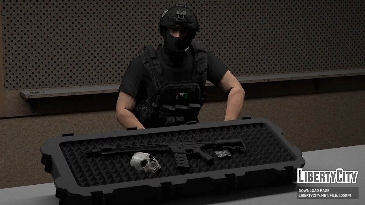 AR-15 [Replace] / GTA 5