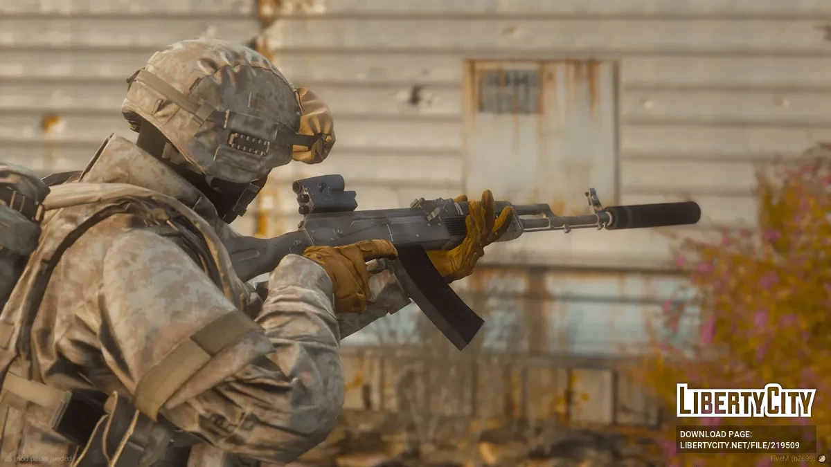 AK-74M / GTA 5