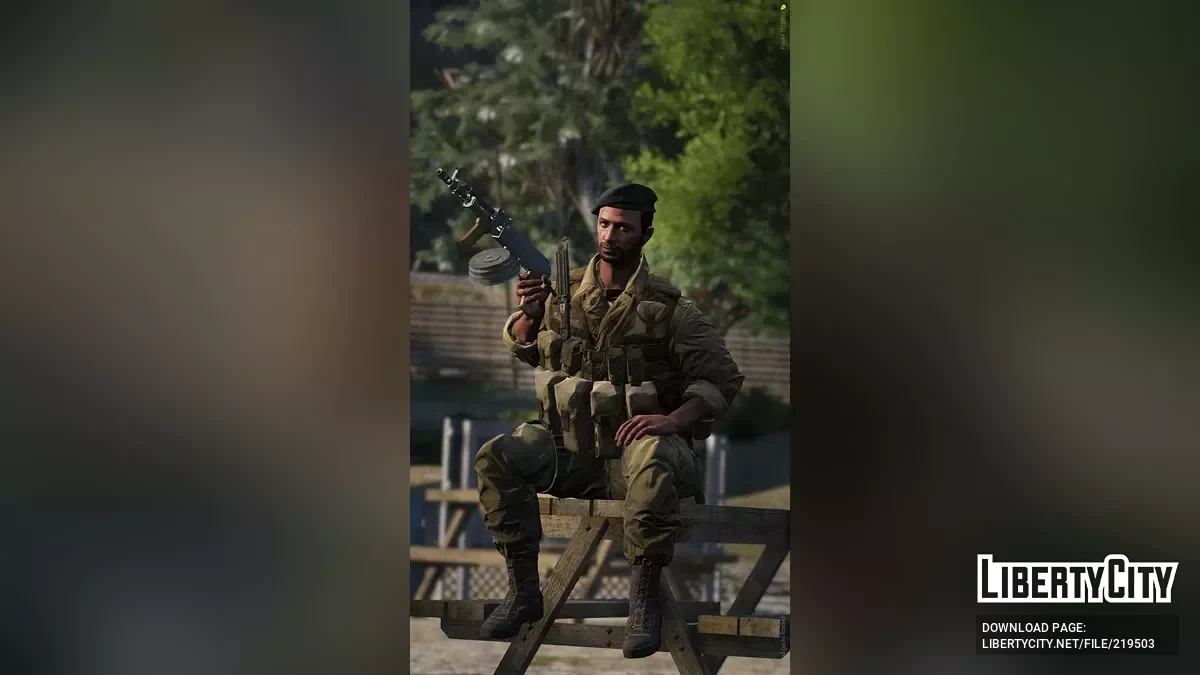 AMD-65 / GTA 5