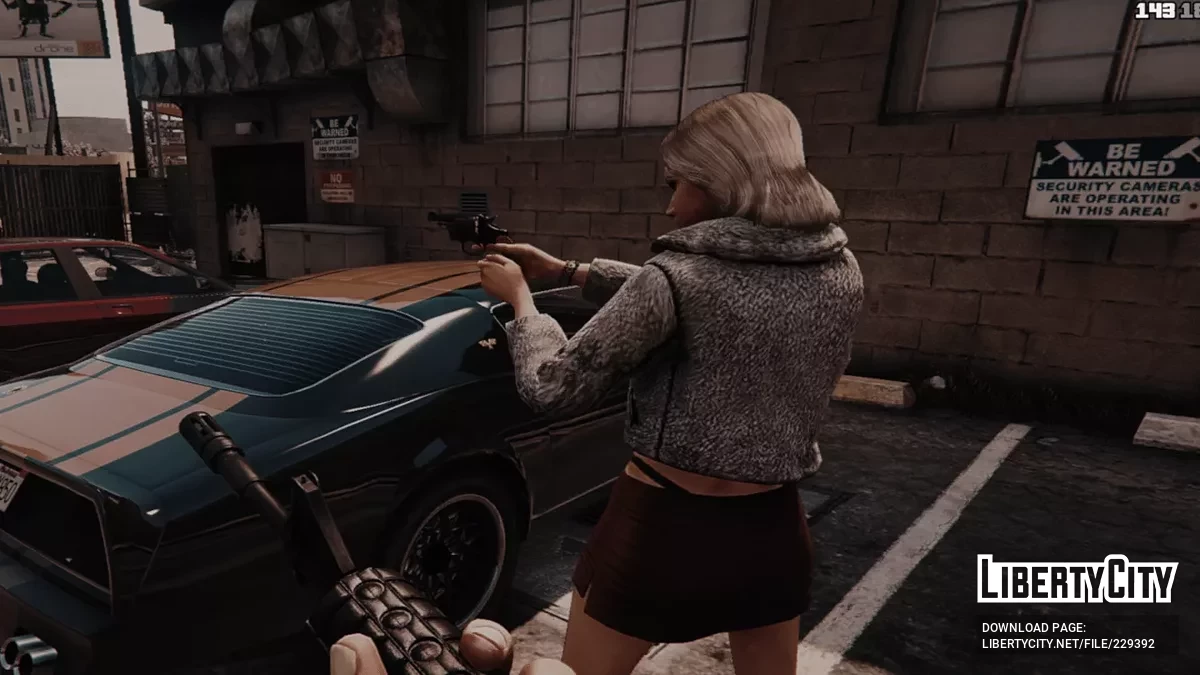 D.D. Packenbush Detective Special / GTA 5
