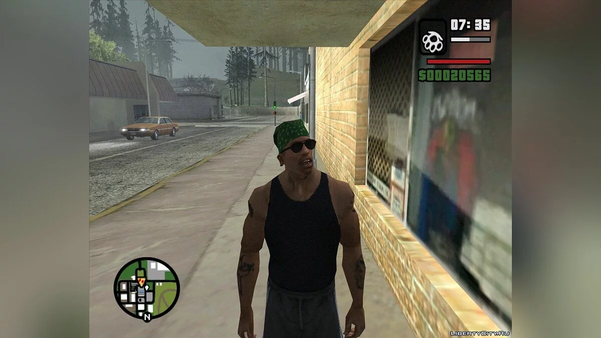 Normal Speech Animation / GTA San Andreas