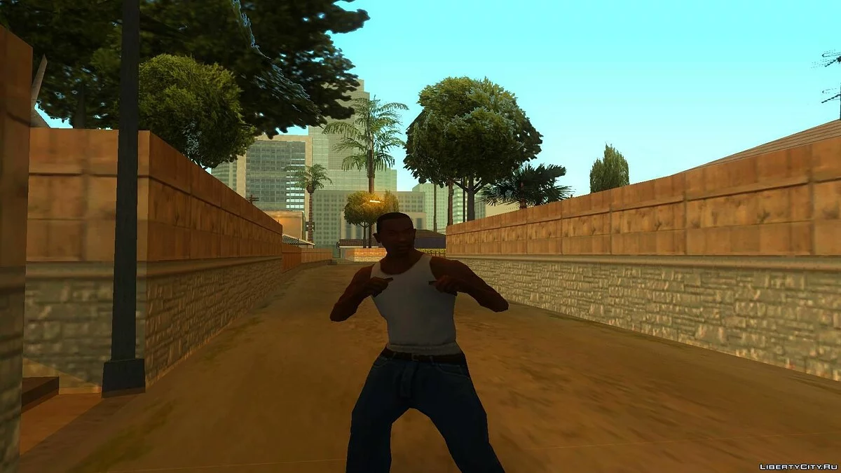 AAP - Finale / GTA San Andreas