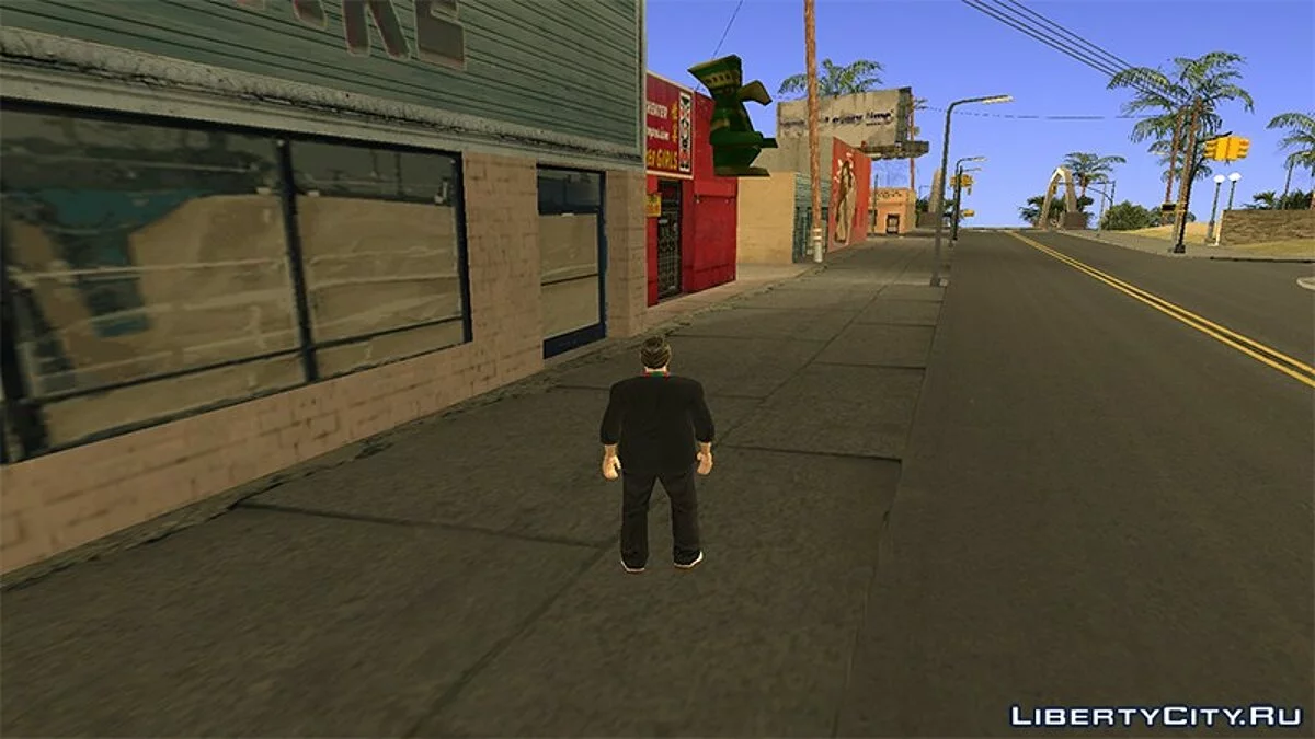 Реалистичные анимации для персонажа / GTA San Andreas