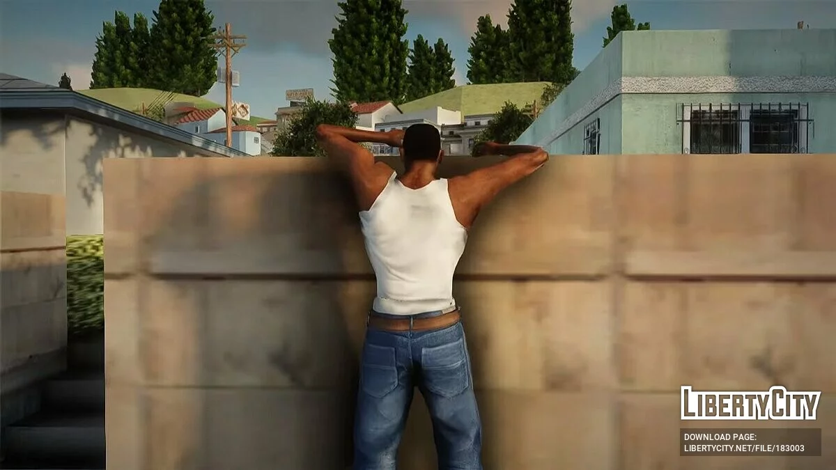 Анимации Франклина из GTA 5 / GTA San Andreas