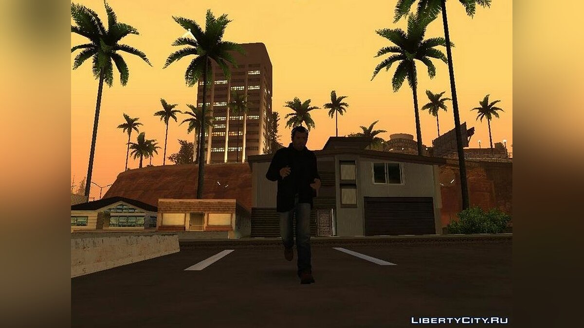 Анимация движений из GTA 4 для GTA San Andreas - Картинка #2