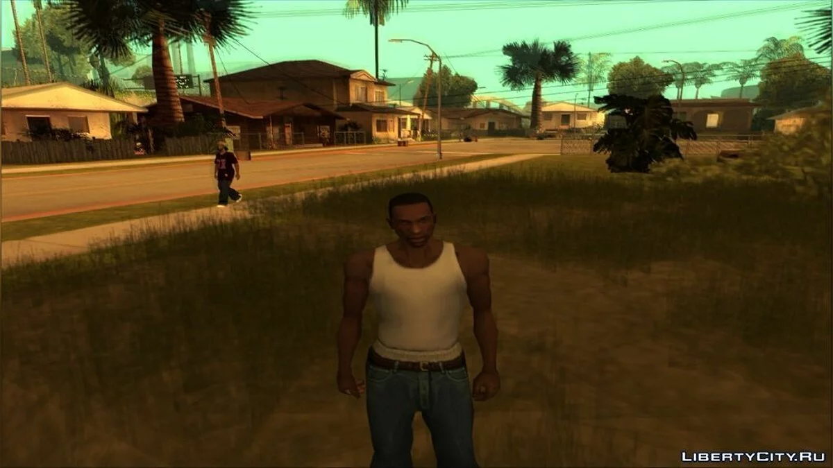 SkyGfx 1.9 / GTA San Andreas