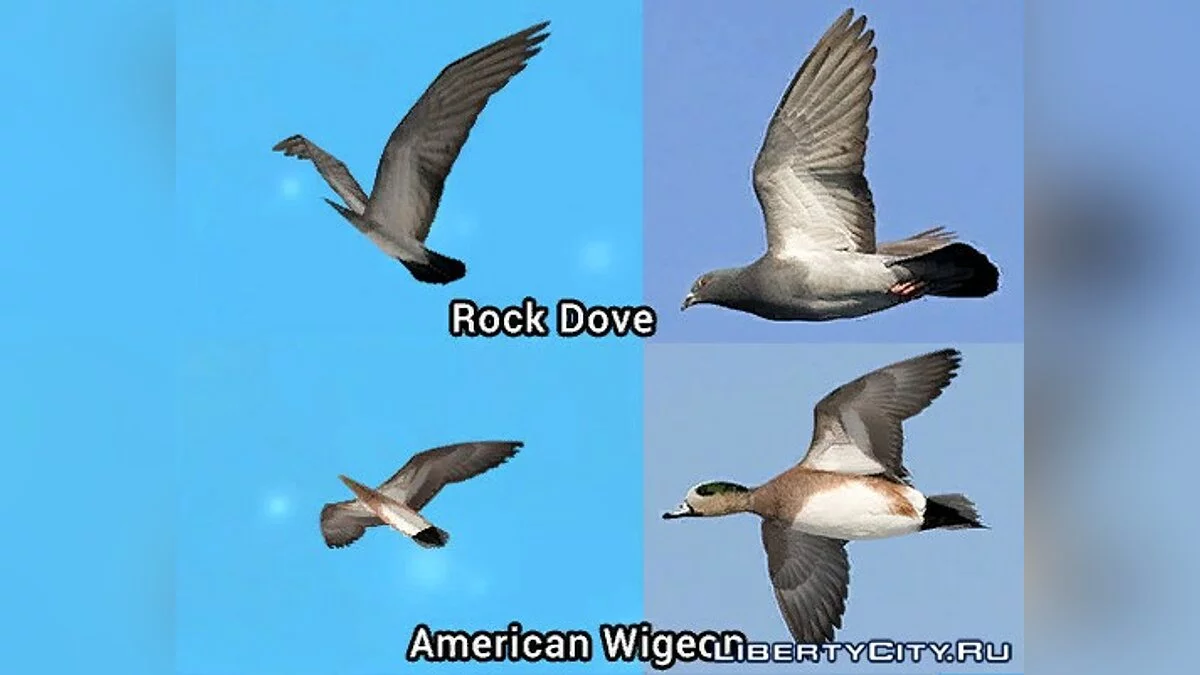 The Birds Update 2017 / GTA San Andreas