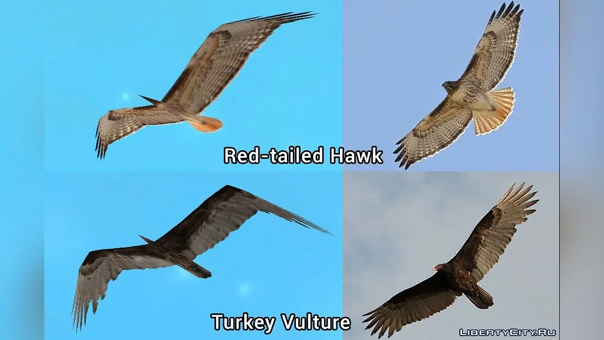 The Birds Update 2017 / GTA San Andreas