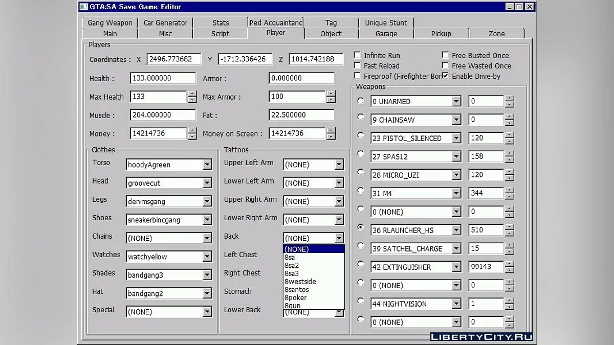 GTA:SA Save Game Editor / GTA San Andreas