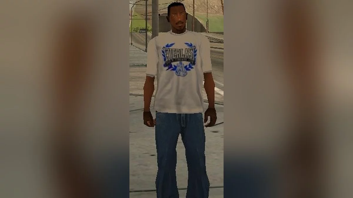 Небольшой пак футболок / GTA San Andreas