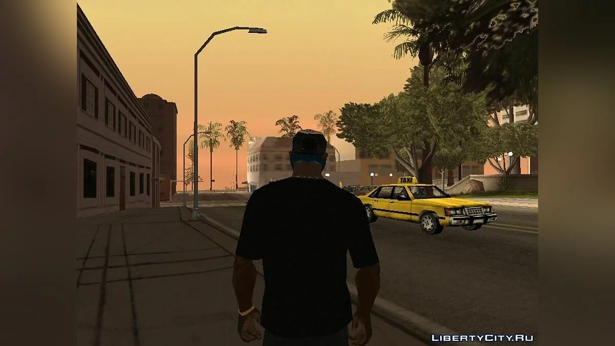 Футболка Gorilla Energy / GTA San Andreas