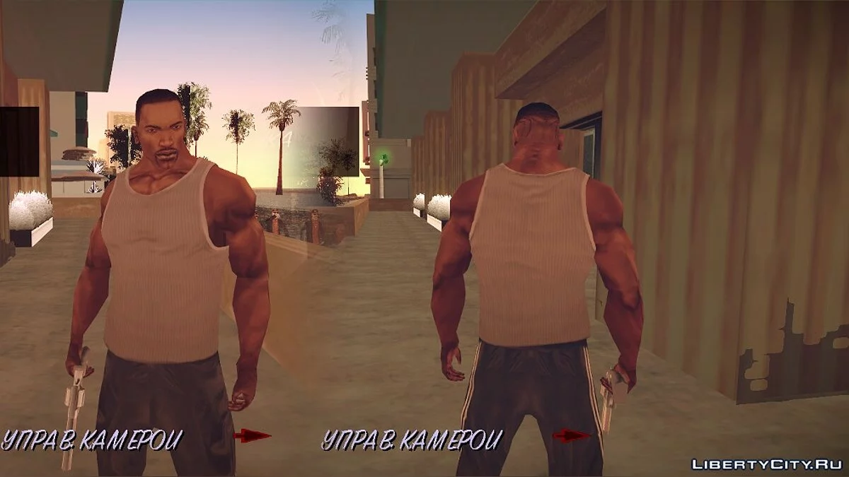 Майка Фраклина (v2) / GTA San Andreas