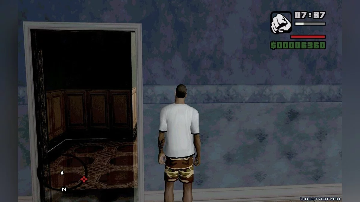 Футболка с логотипом "DCO" / GTA San Andreas