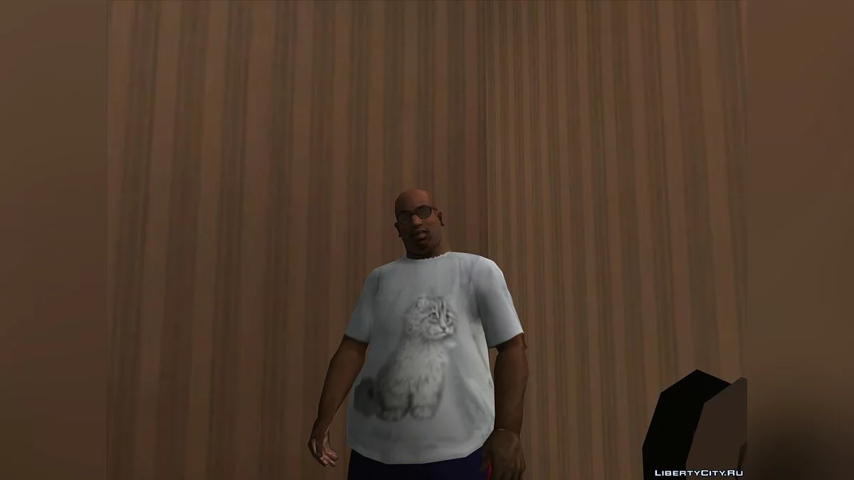 Футболка главного героя фильма «Пыль» / GTA San Andreas