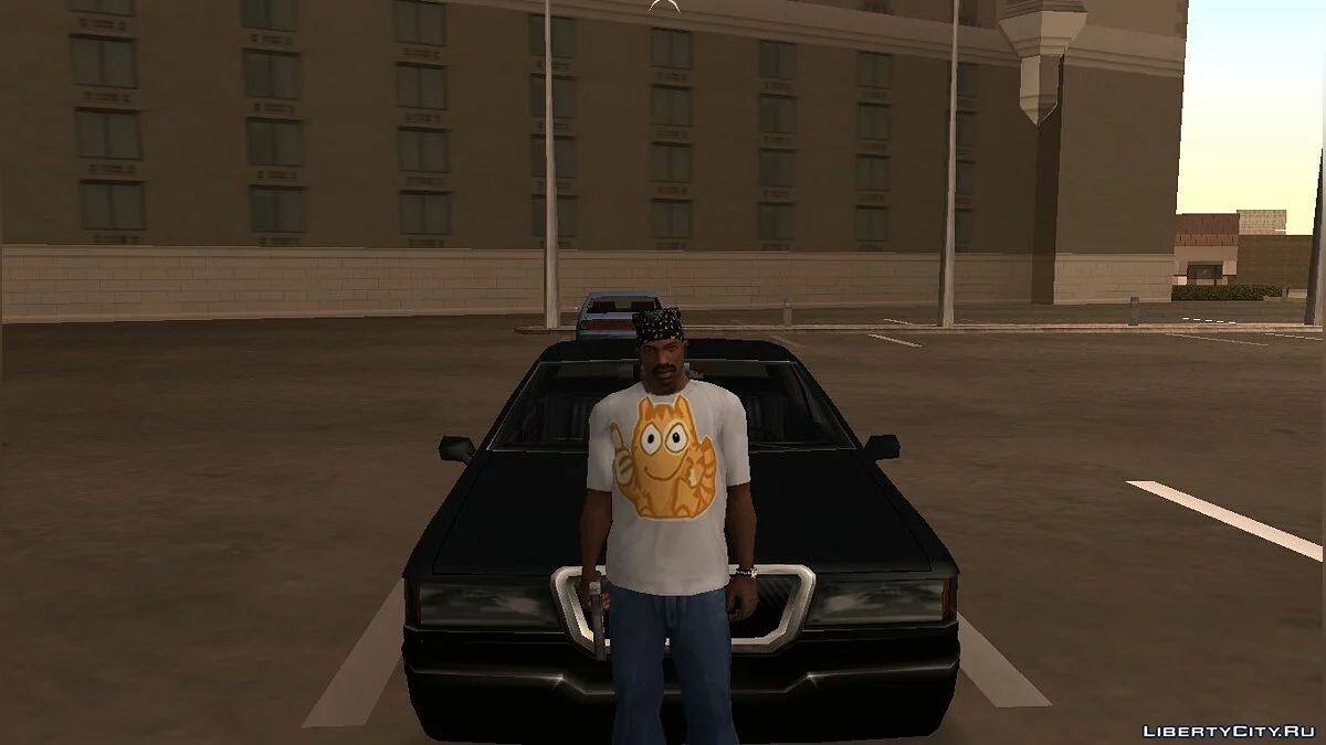 Футболка с котом Персиком / GTA San Andreas