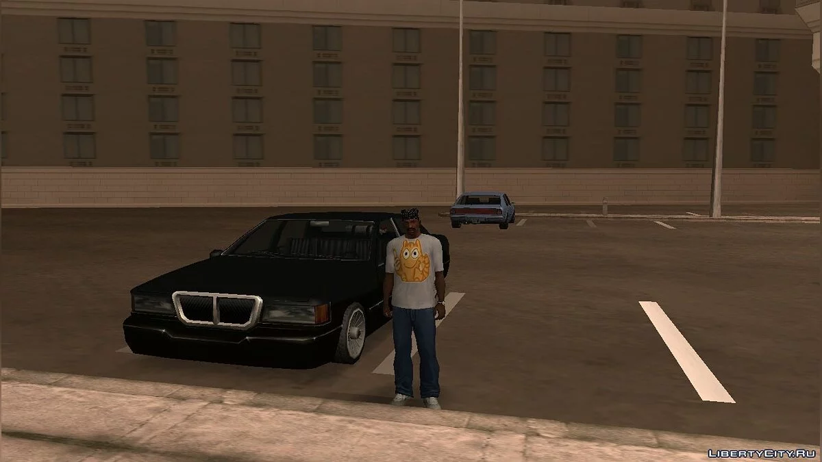 Футболка с котом Персиком / GTA San Andreas