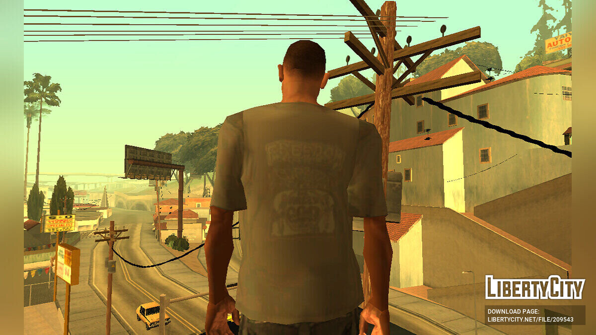 Скины для GTA San Andreas: 16275 скинов на ГТА Сан Андреас