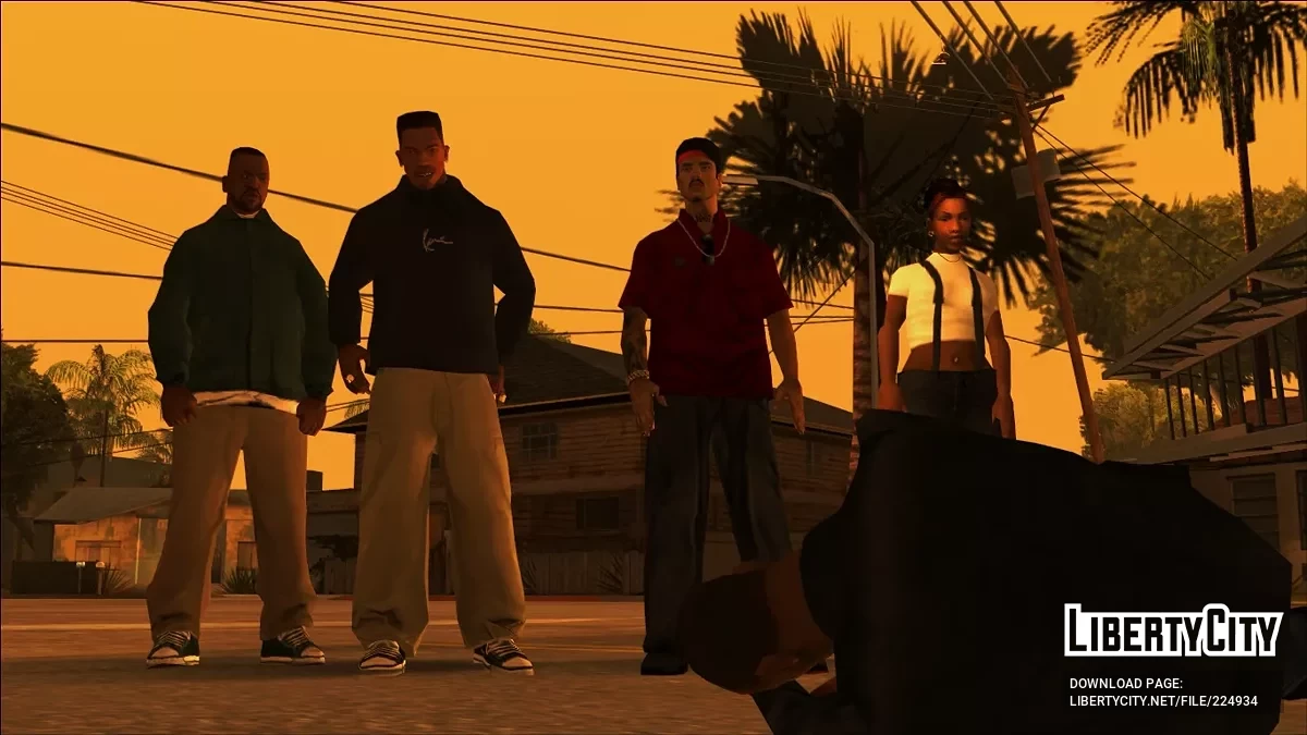 Karl Kani Black Hoodie / GTA San Andreas