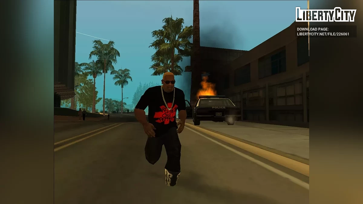 Футболка Red Hot Chili Peppers (SA Style) / GTA San Andreas