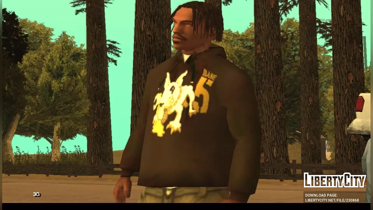 base5hoodie33 / GTA San Andreas