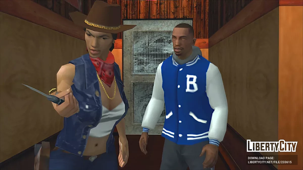 Оригинальный худи DLC / GTA San Andreas