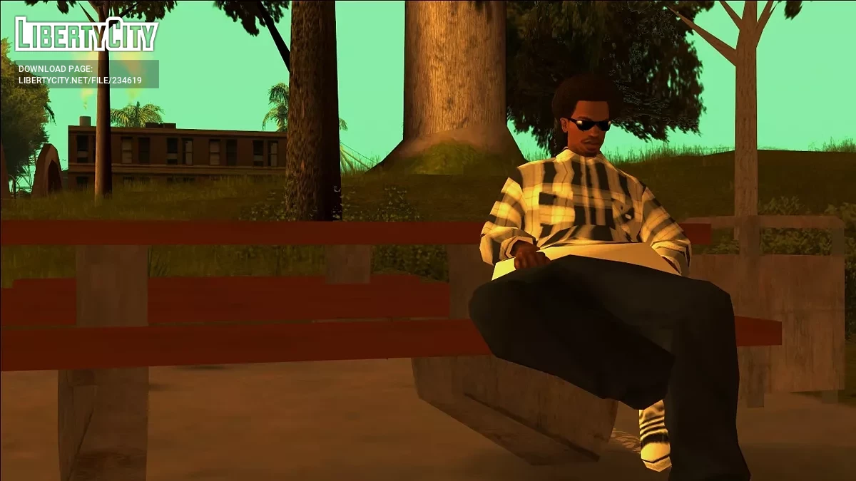 Baggy Plaid Shirt / GTA San Andreas