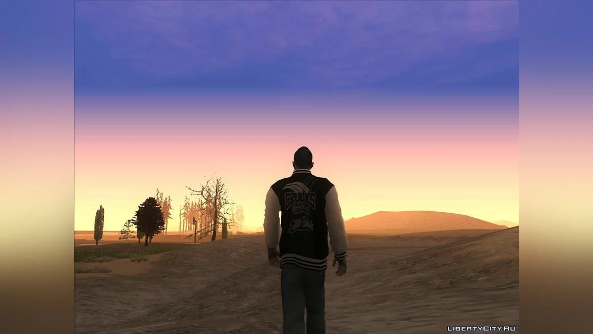 L.A.R.E. v1 / GTA San Andreas