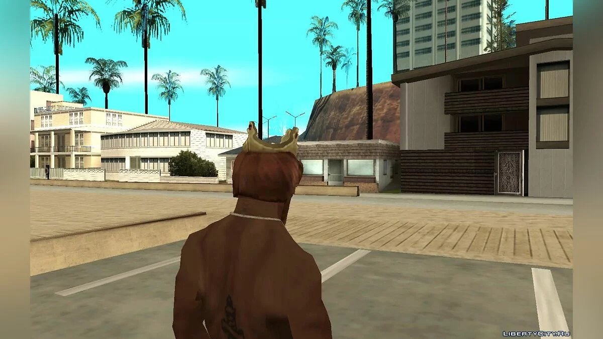 Маска подлого короля для Карла / GTA San Andreas