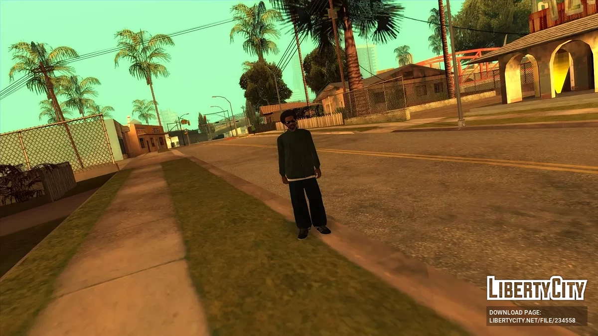 Очки O.G. / GTA San Andreas