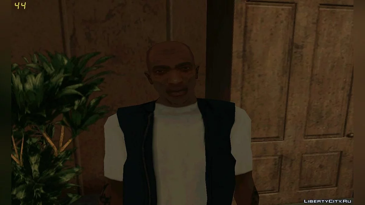 Немолодой Си-Джей / GTA San Andreas