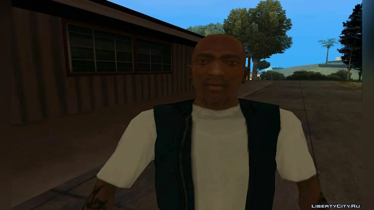 Немолодой Си-Джей / GTA San Andreas
