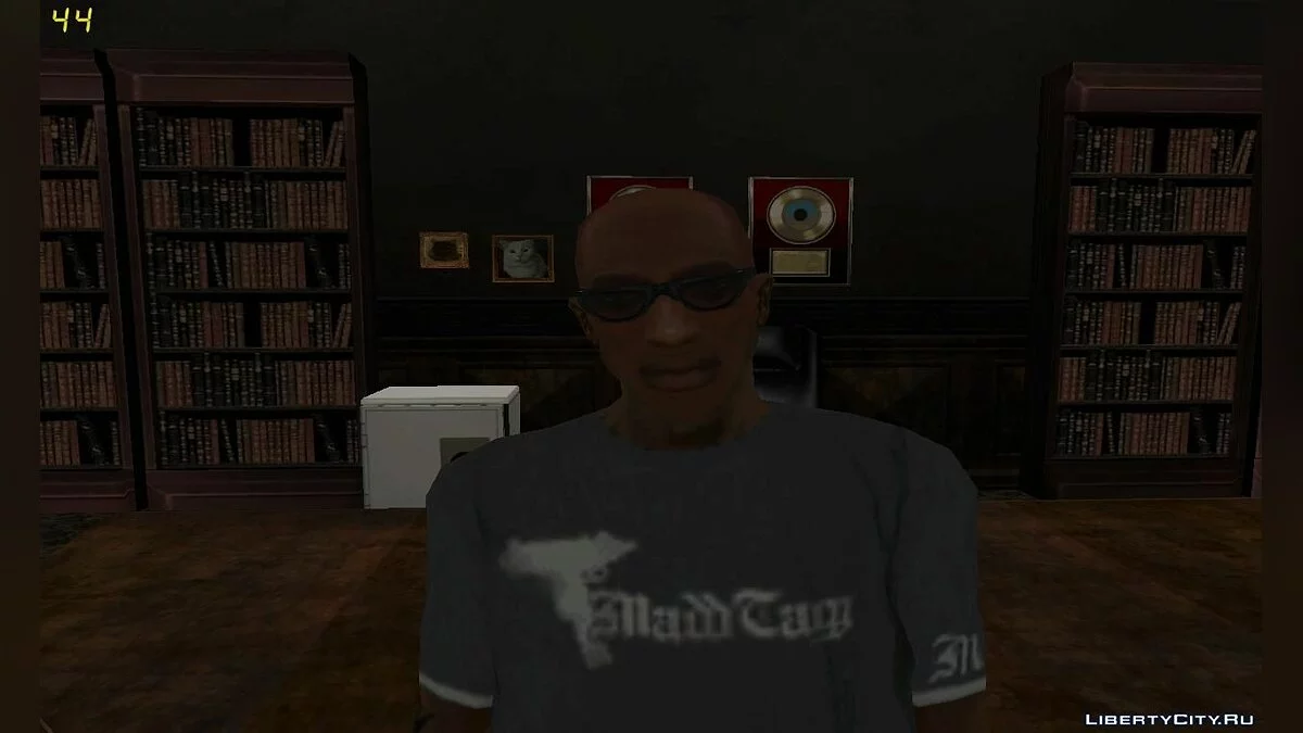 Немолодой Си-Джей / GTA San Andreas