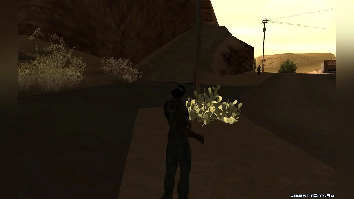 Walley`s Lil Wayne Ponytail conversion for CJ / GTA San Andreas