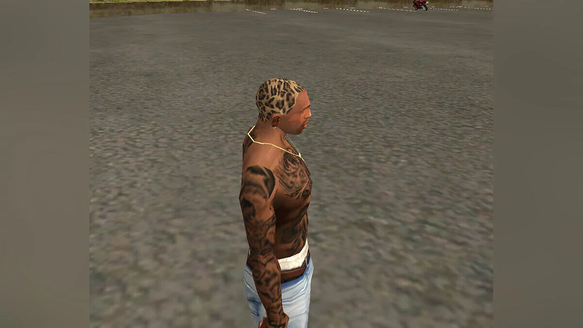 Рисунок леопарда - Новая причёска / GTA San Andreas
