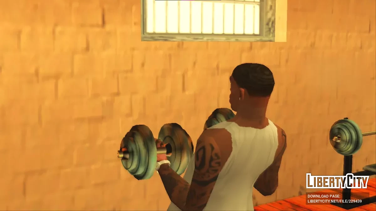 Низкий выцветший 360 X LPP текстурированный / GTA San Andreas