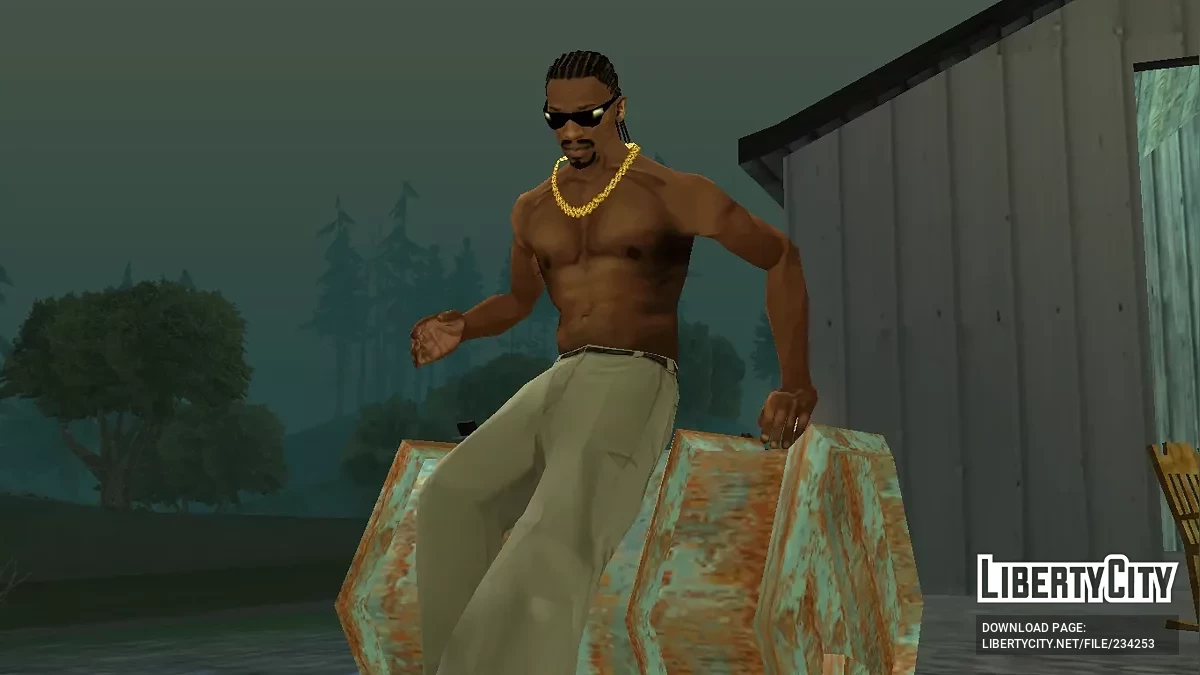 Длинные африканские косички / GTA San Andreas