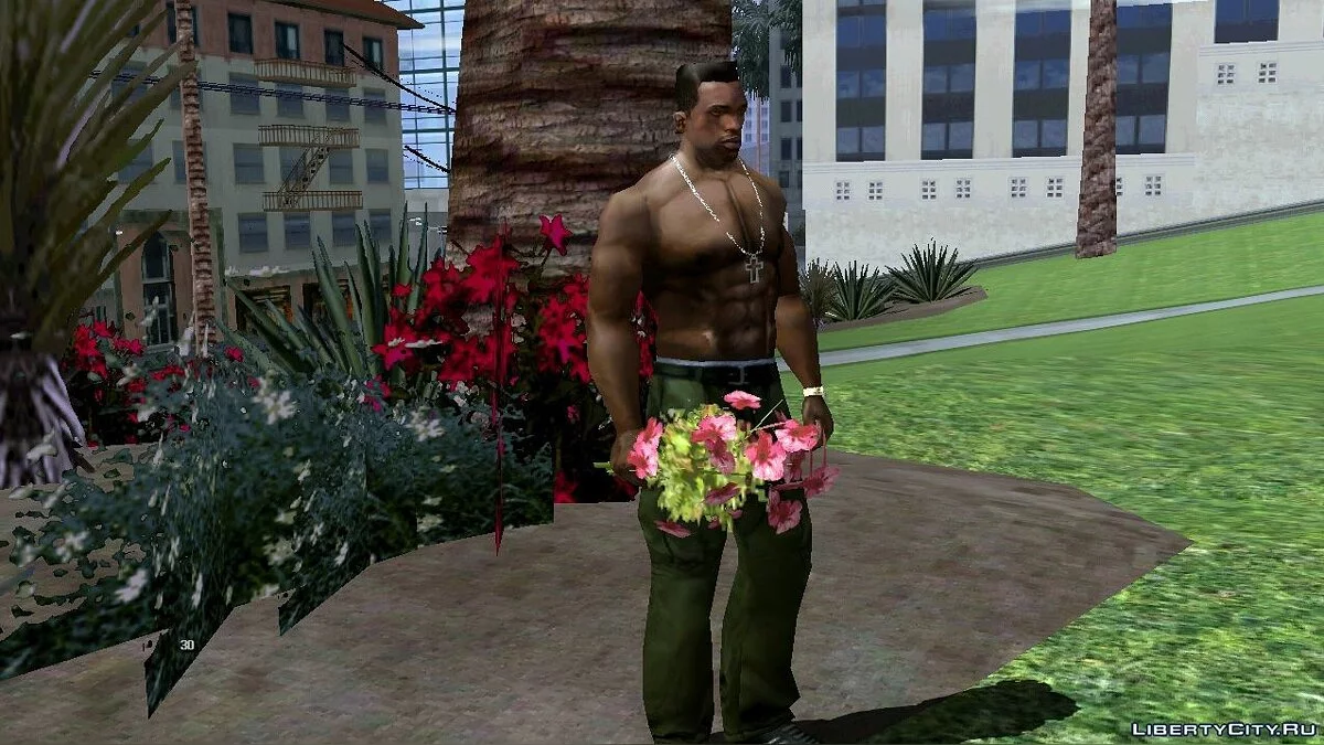 Сорвать цветы в Глен Парке / GTA San Andreas (iOS, Android)