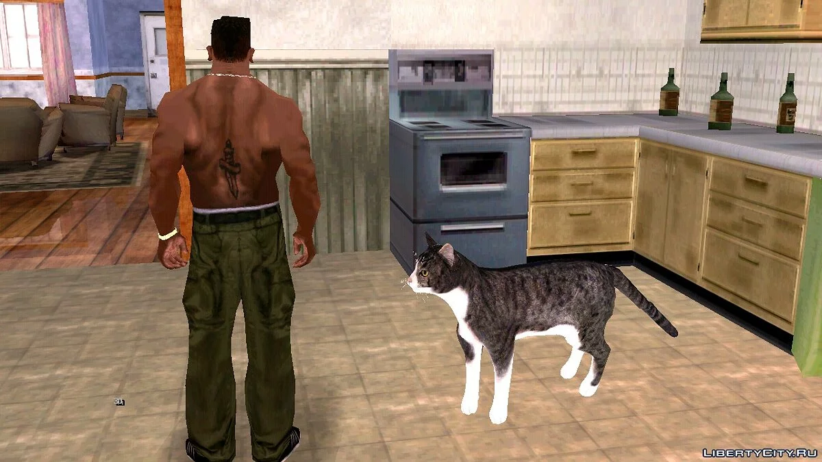 Кошка в доме Сиджея / GTA San Andreas (iOS, Android)