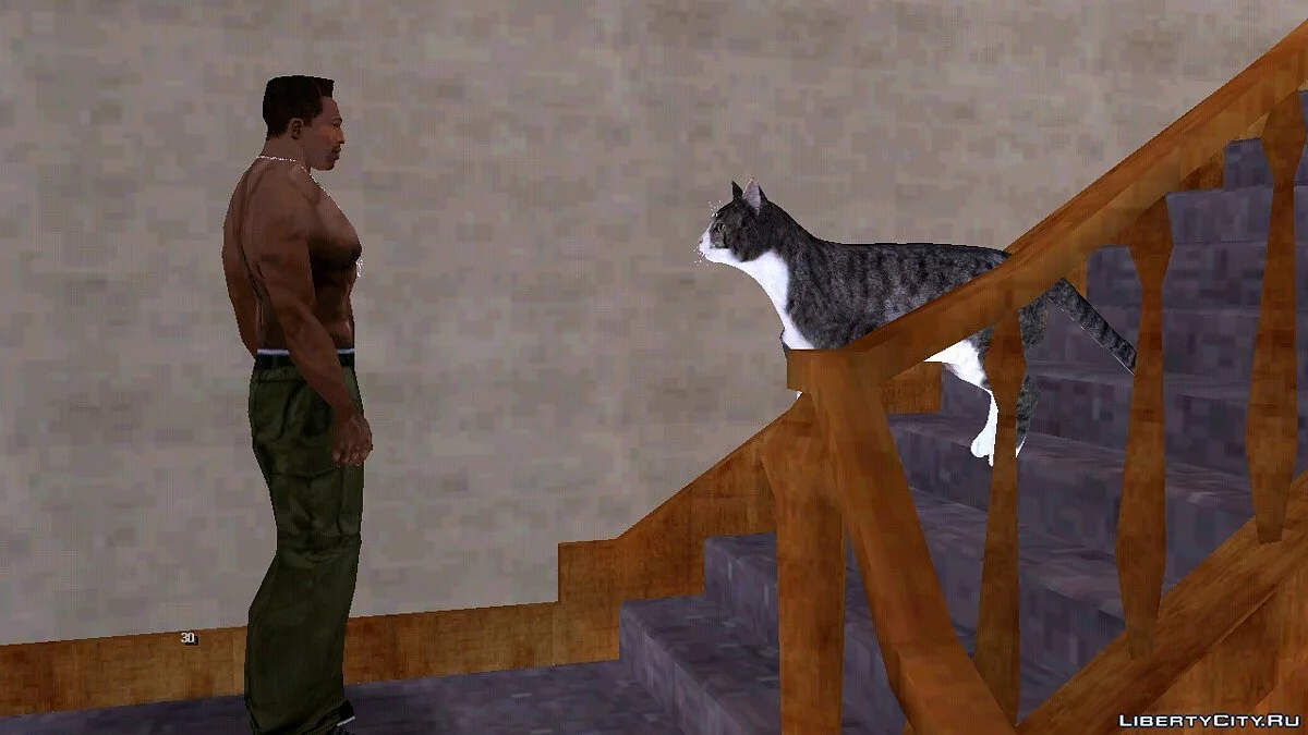 Кошка в доме Сиджея / GTA San Andreas (iOS, Android)