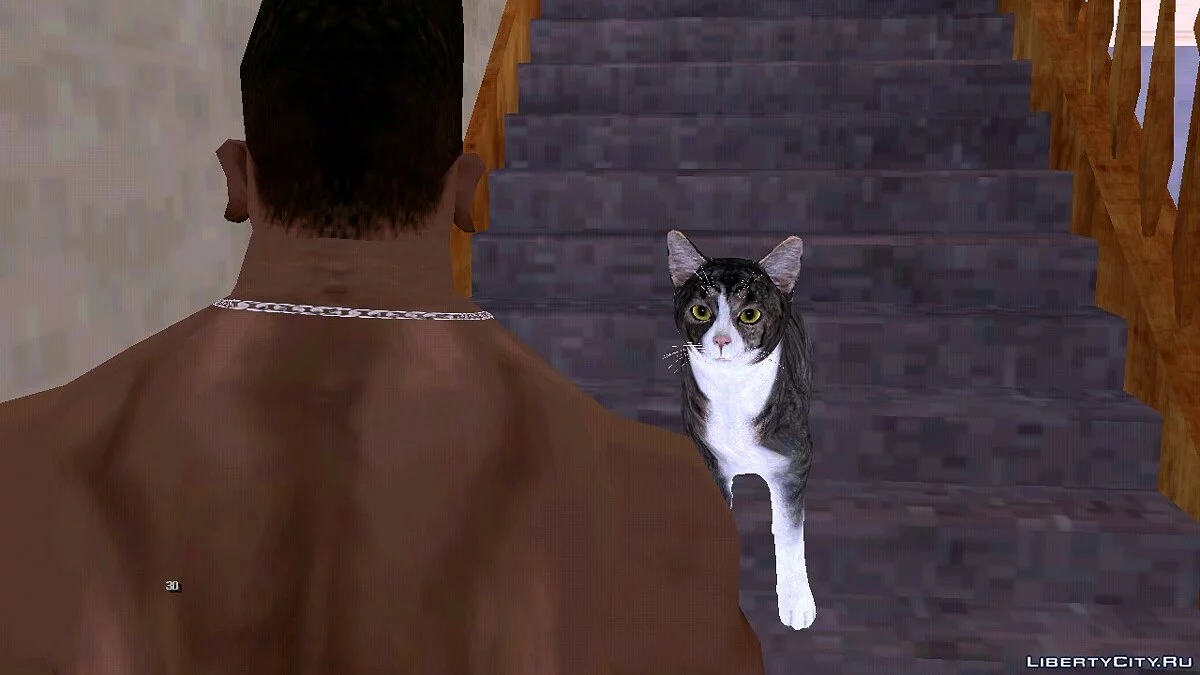 Кошка в доме Сиджея / GTA San Andreas (iOS, Android)