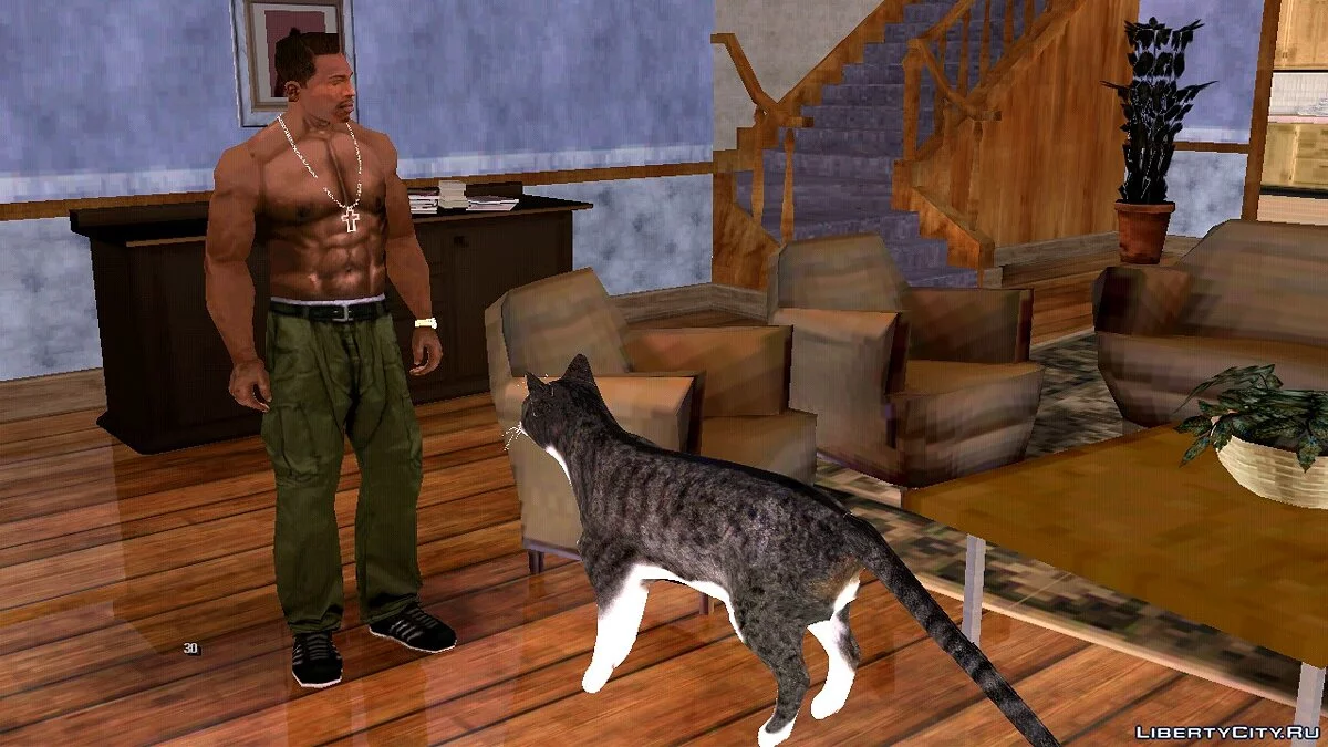 Кошка в доме Сиджея / GTA San Andreas (iOS, Android)