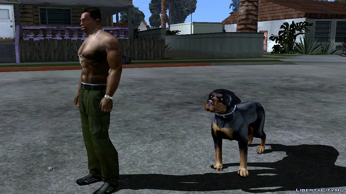 Собака за домом Райдера / GTA San Andreas (iOS, Android)