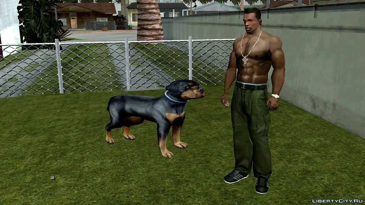 Собака за домом Райдера / GTA San Andreas (iOS, Android)