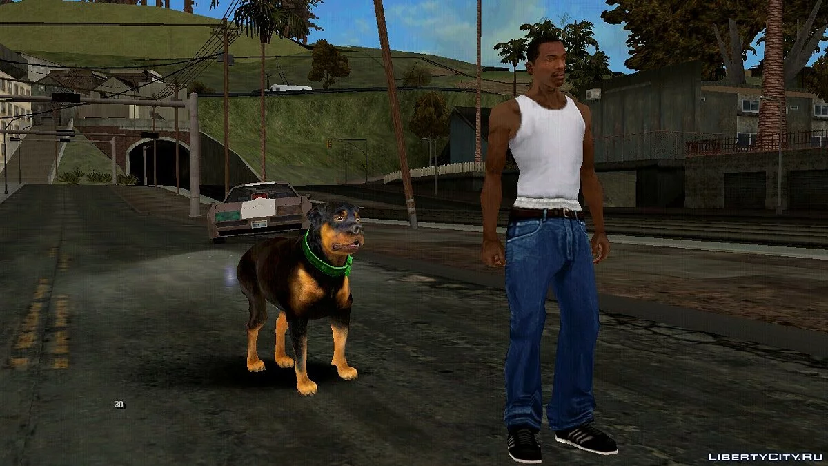 Чоп из GTA 5 / GTA San Andreas (iOS, Android)