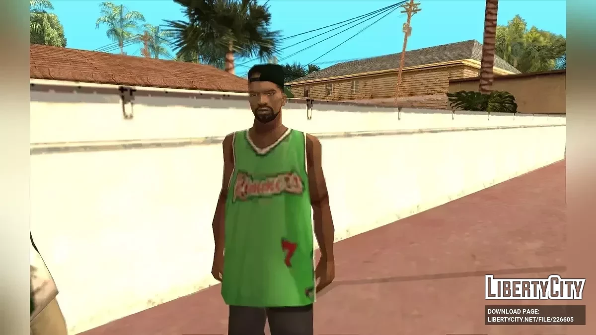 Расширенные семьи Гроув-стрит / GTA San Andreas