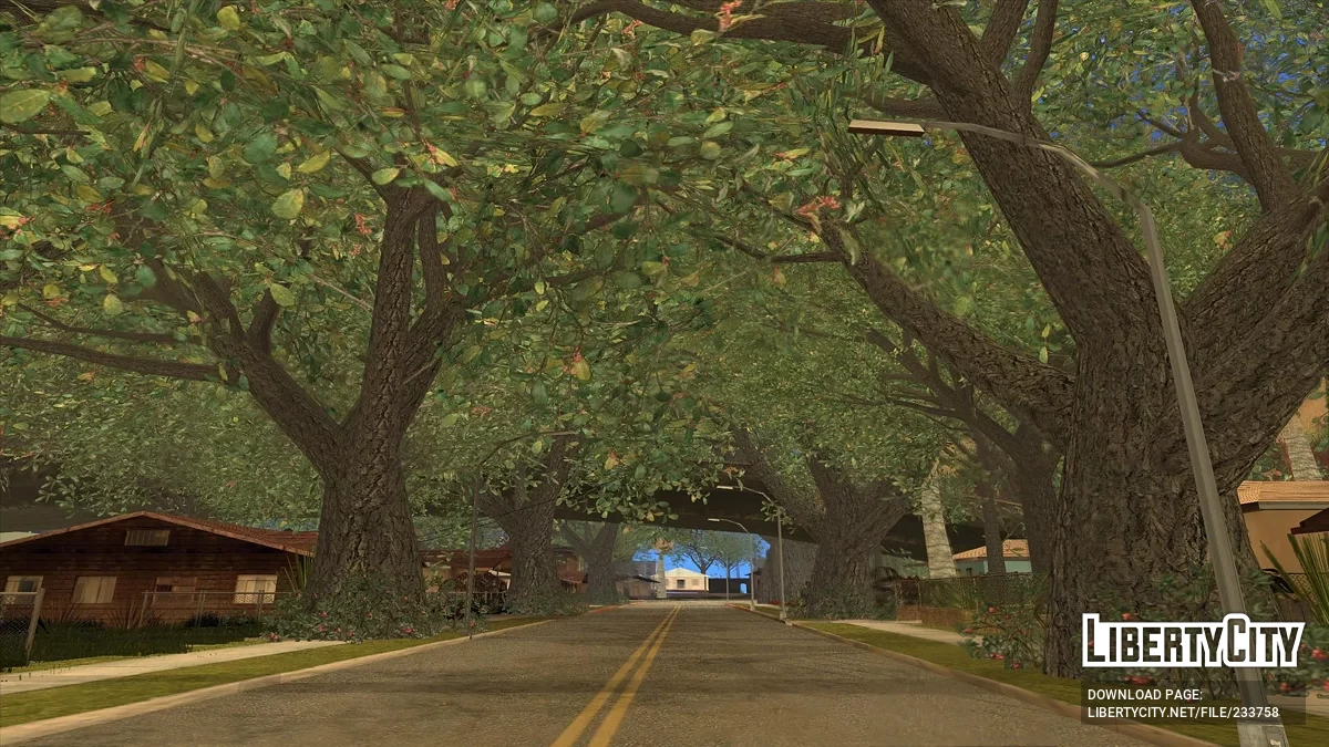 Много растительности на Гроув Стрит / GTA San Andreas